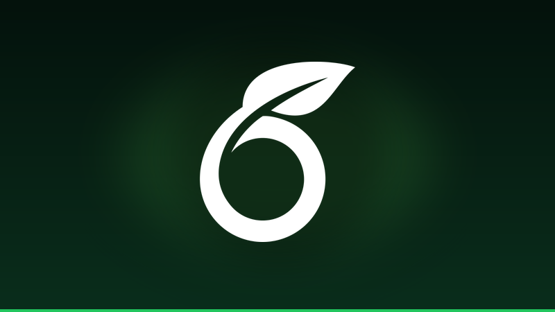 Overleaf